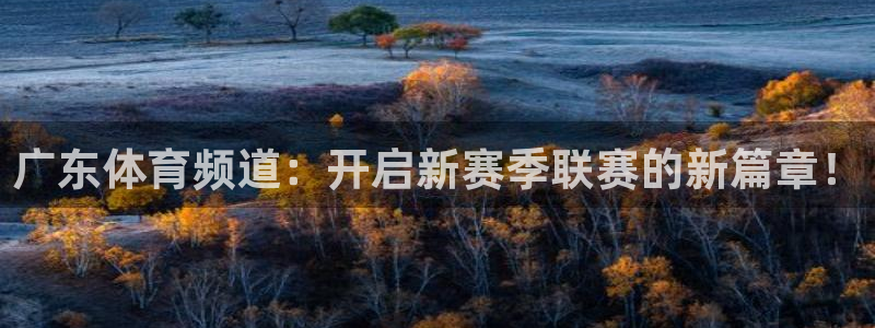 免费看足球直播：广东体育频道：开启新赛季联赛的新篇章！