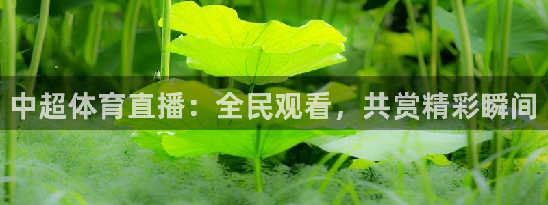 24直播免费足球直播178：中超体育直播：全民观看，共赏精彩瞬间