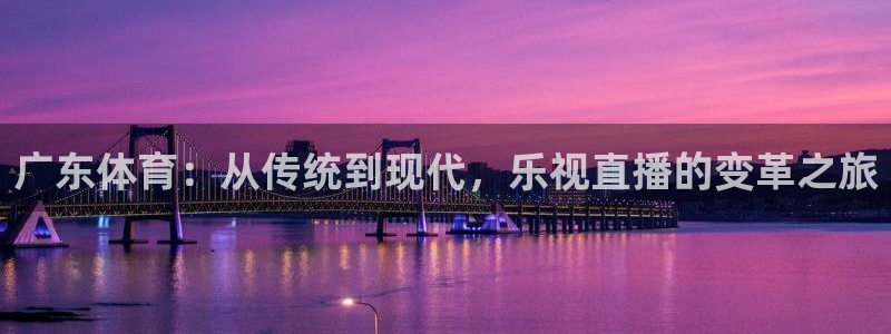 乐播足球直播在线观看：广东体育：从传统到现代，乐视直播的变革之旅