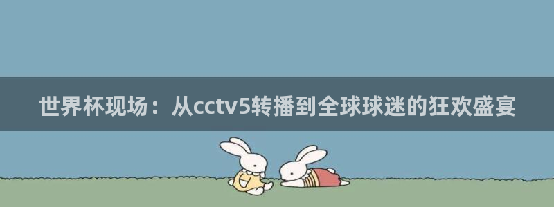 足球直播超清4k：世界杯现场：从cctv5转播到全球球迷的狂欢盛宴