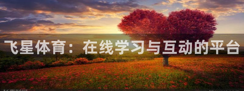 857足球直播间：飞星体育：在线学习与互动的平台