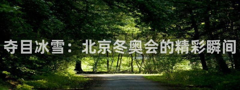 看足球直播网站：夺目冰雪：北京冬奥会的精彩瞬间