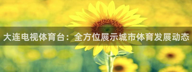 919足球直播：大连电视体育台：全方位展示城市体育发展动态