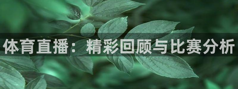 857足球直播：体育直播：精彩回顾与比赛分析