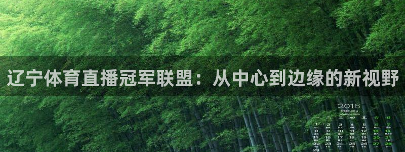山猫体育免费足球直播：辽宁体育直播冠军联盟：从中心到边缘的新视野