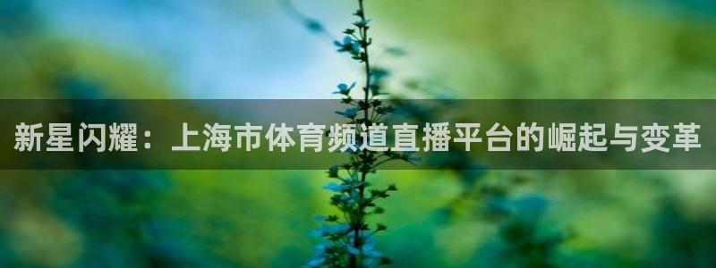 球坛看球 nba直播 足球直播：新星闪耀：上海市体育频道直播平台的崛起与变革