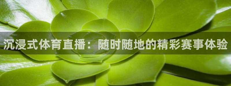 英超足球直播：沉浸式体育直播：随时随地的精彩赛事体验