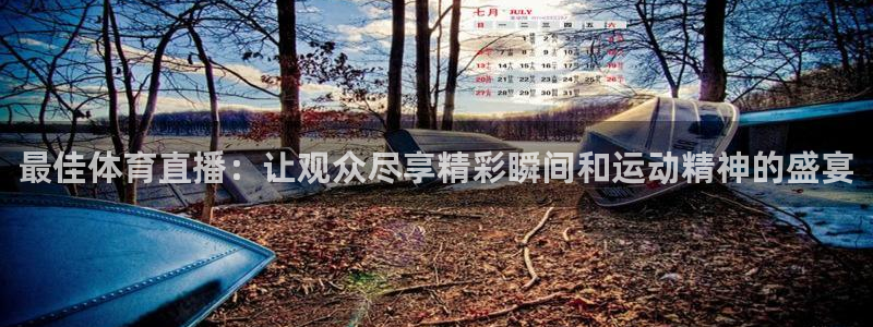 足球直播k球：最佳体育直播：让观众尽享精彩瞬间和运动精神的盛宴