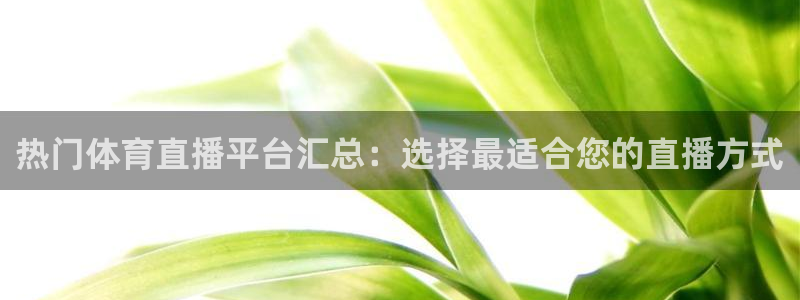 雨燕足球直播免费直播：热门体育直播平台汇总：选择最适合您的直播方式