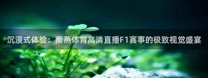 足球直播赛果：沉浸式体验：雨燕体育高清直播F1赛事的极致视觉盛宴