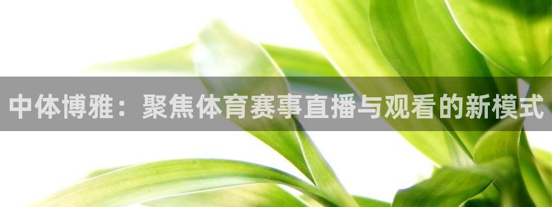 足球直播比赛在线观看：中体博雅：聚焦体育赛事直播与观看的新模式